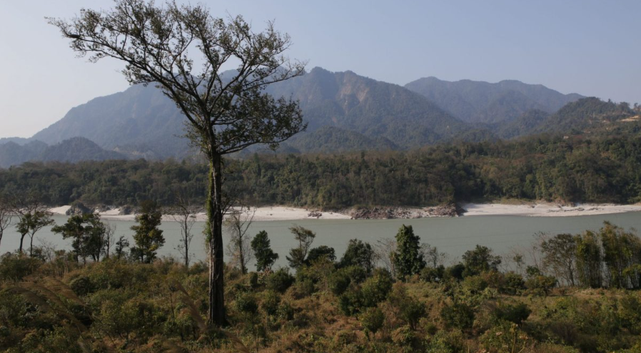 A lone tree beside a wide river with the East Himalayan foothills in the distance near Namdapha
