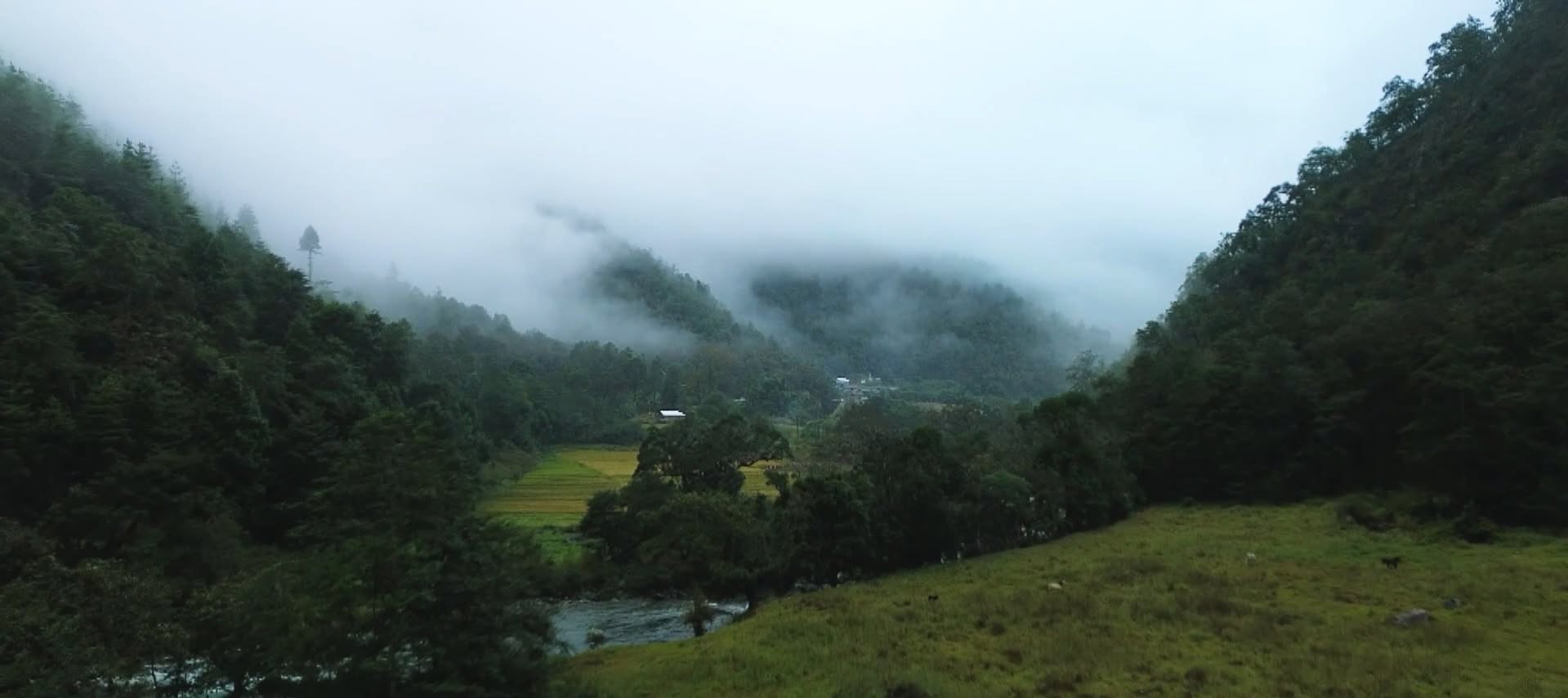 Mist over forested hills and a green valley in West Kameng, Arunachal Pradesh