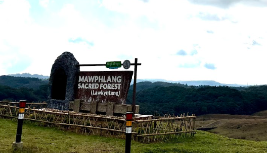 Entrance sign to Mawphlang Sacred Forest near Shillong