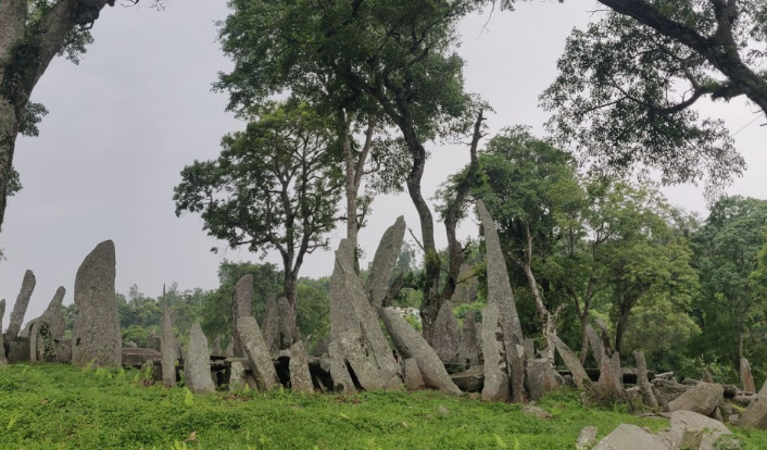 Nartiang Monoliths standing stones surrounded by trees in the Jaintia Hills
