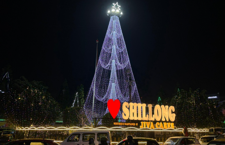 Illuminated Christmas tree and 