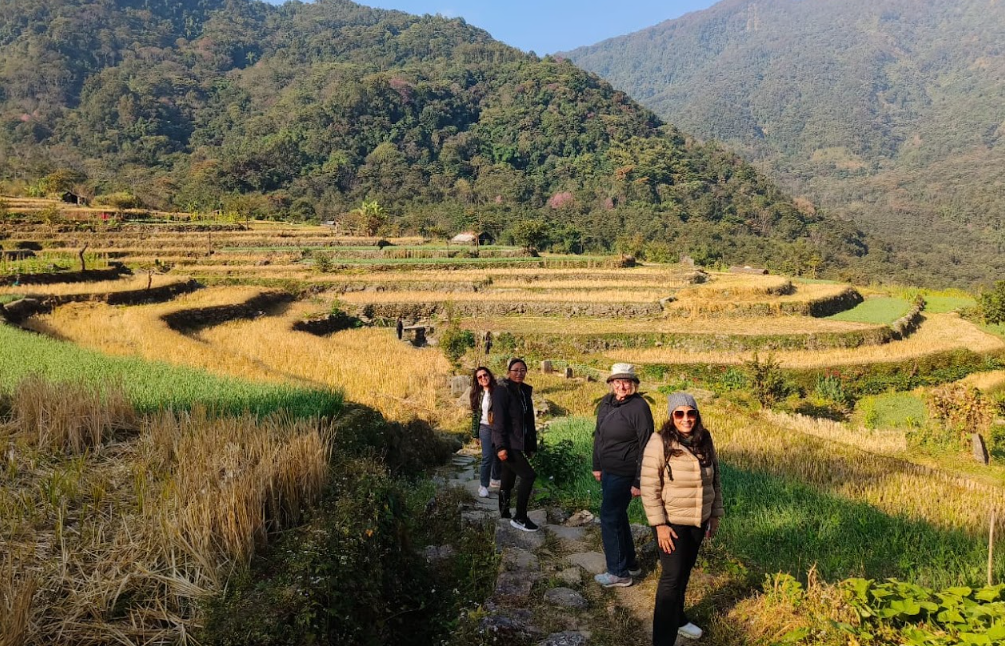 Visitors walking along terraced rice fields in Khonoma