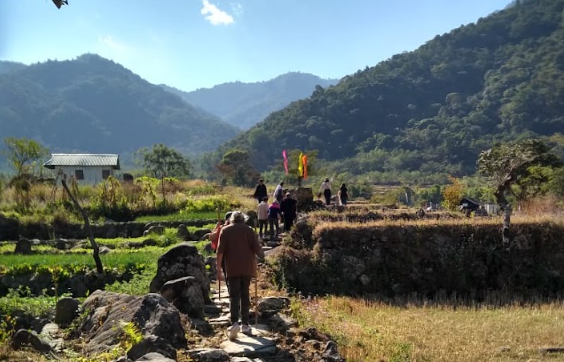 Walkers on a path through the fields towards Khonoma's community forest