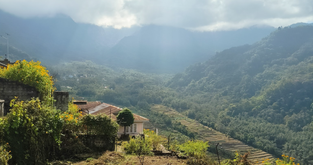 Khonoma village rising in layers above terraced paddy fields and forested hills