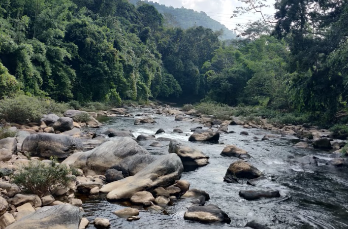Boulder-strewn forest river in the Garo Hills