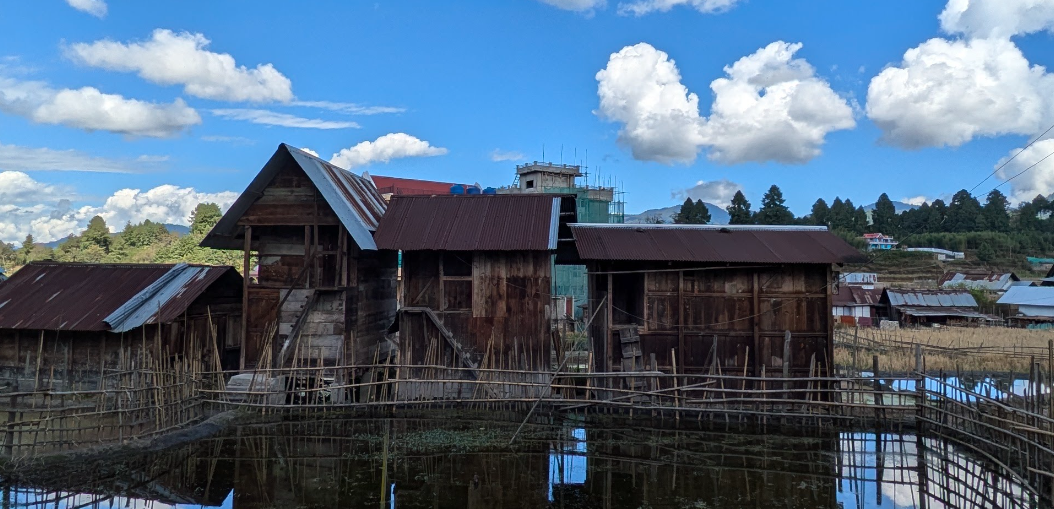 Traditional wooden houses beside a fish pond in Ziro