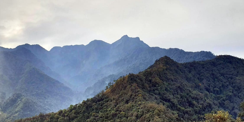 Misty forested peaks near Kigwema, Nagaland