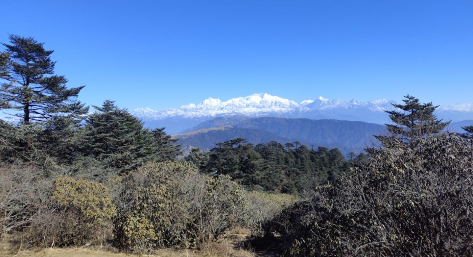 Snow-capped Kanchenjunga range seen from a forest ridge in Sikkim
