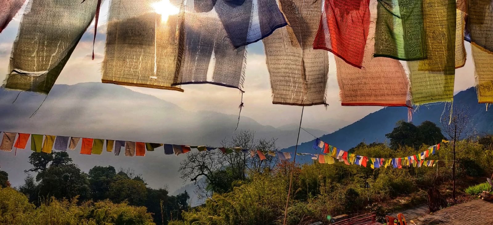 Prayer flags catching the sunlight above a forested hillside